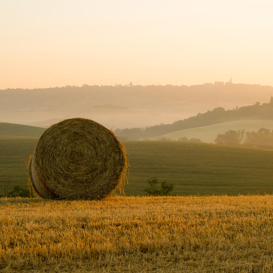 Tuscan Sunrise